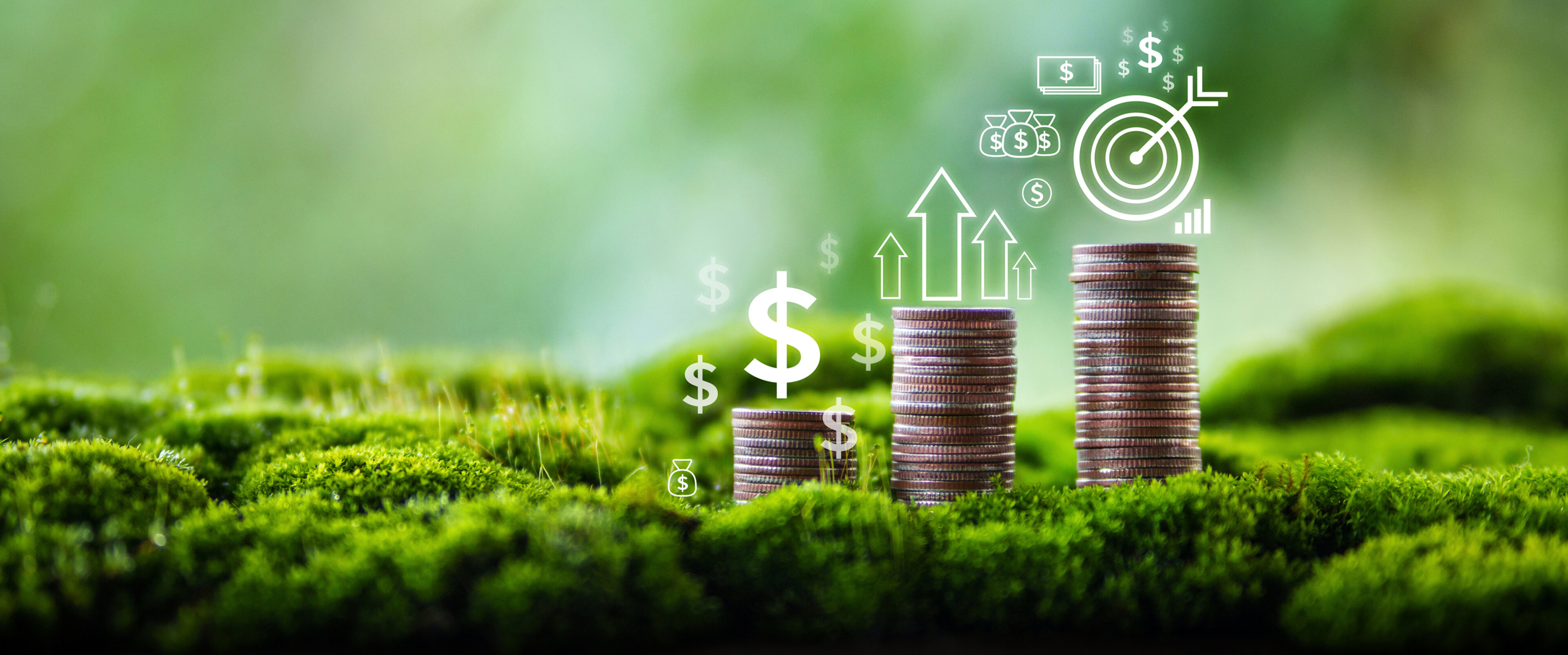 Geldstücke auf Moos mit Symbolen über Förderungen