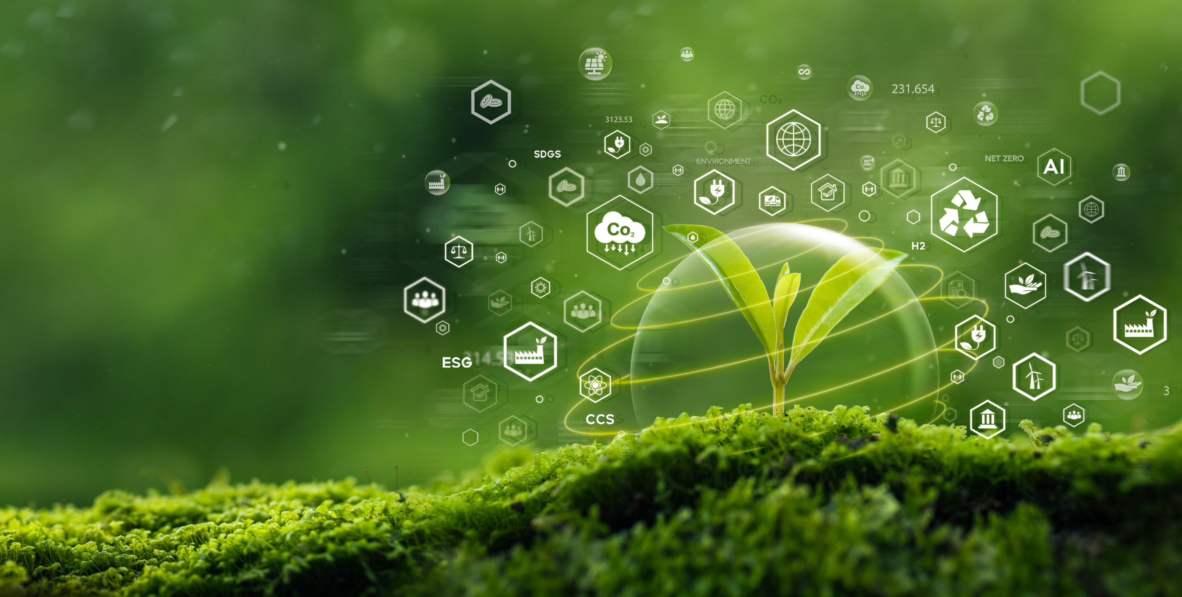 Waldboden mit einem Pflanzensprössling und Symbolen von erneuerbaren Energien